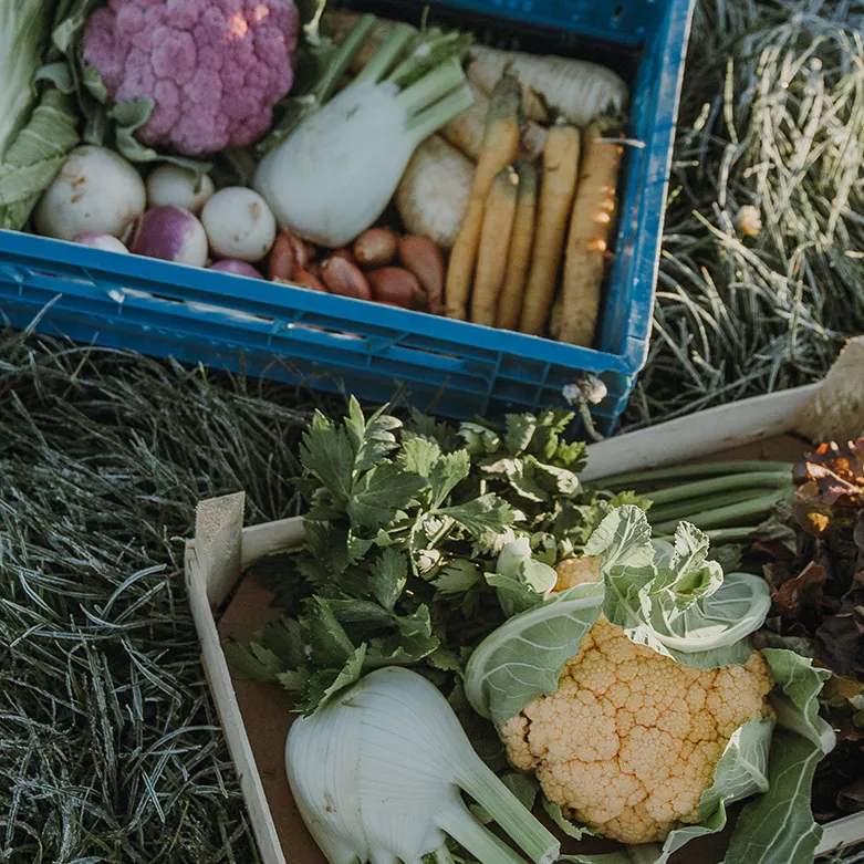 Abonnement paniers duo 4 semaines (2/3p)